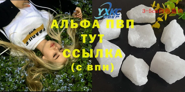 гашик Баксан