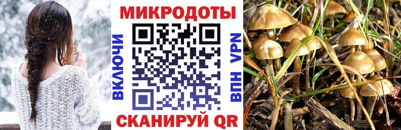 Псилоцибиновые грибы Magic Shrooms Бикин